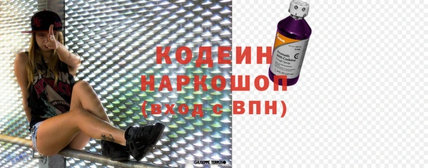 шишки Снежногорск